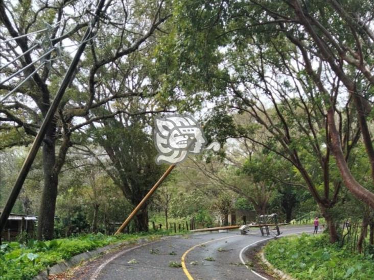 Vientos del norte derriban árbol y poste de luz en Catemaco