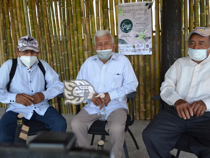 A la baja, producción de vainilla en zona norte de Veracruz, afirman