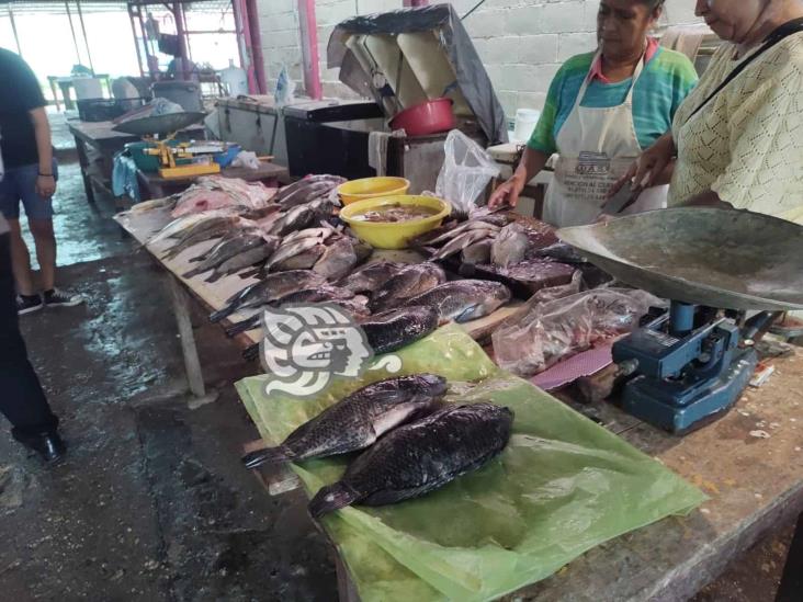 Religiosos de Moloacán respetan consumo de pescados y mariscos en cuaresma