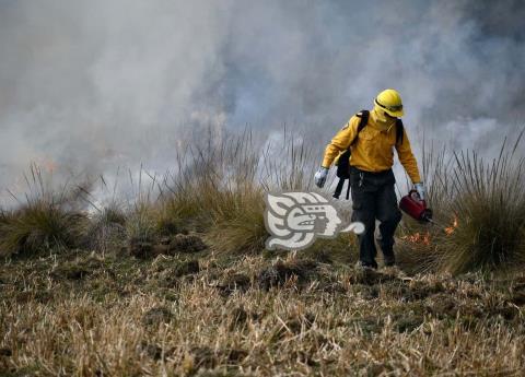 Hay 45 incendios forestales este 2022 en Veracruz, detalla PC