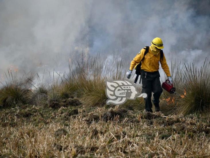 Van 45 incendios forestales este 2022 en Veracruz, detalla PC
