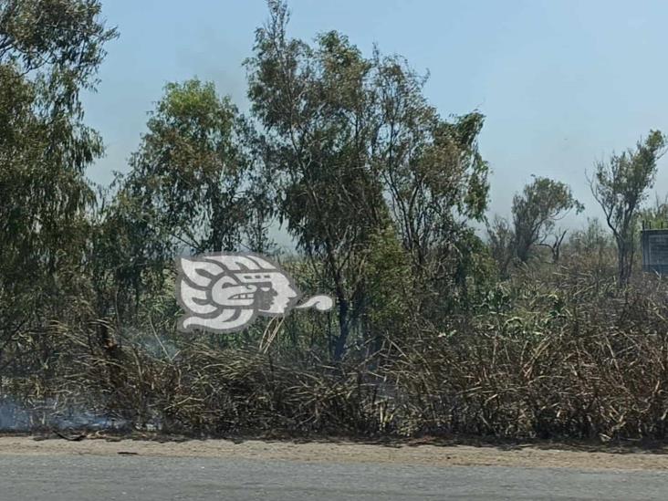 Incendio de pastizales en Las Matas rodea estación de Pemex