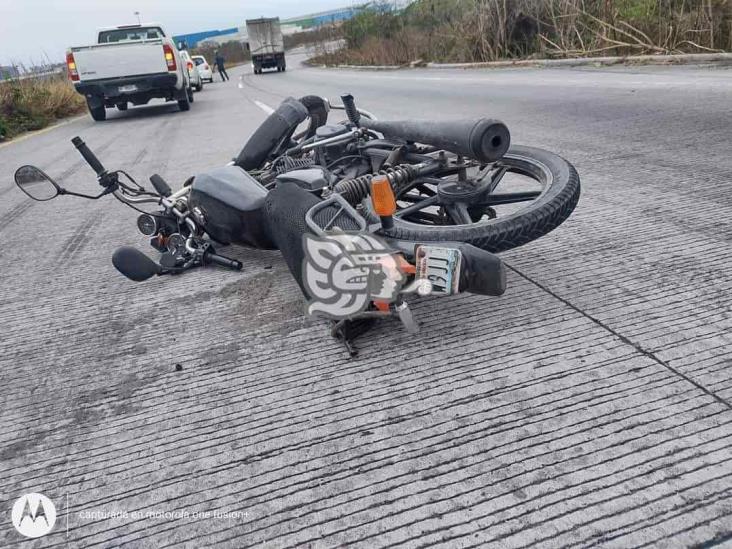 Motociclista impacta contra una vaca en la Veracruz-Xalapa; no logró frenar