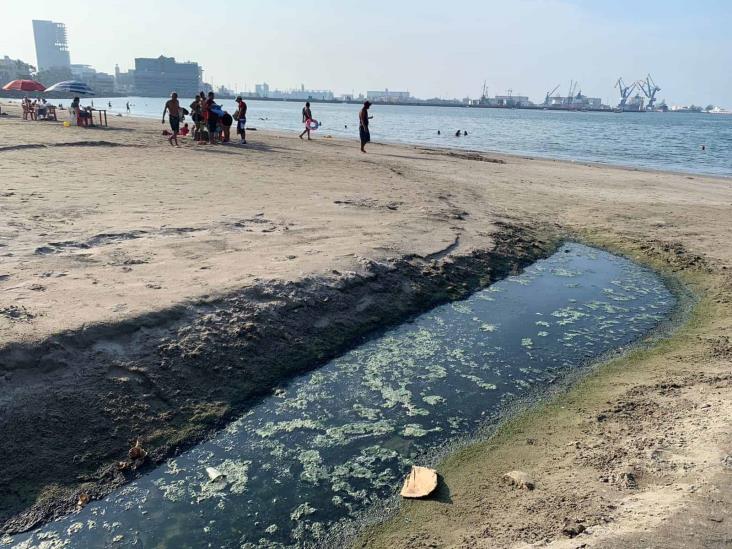 Hasta 600 salidas de aguas negras podrían contaminar mar de Veracruz: pescadores