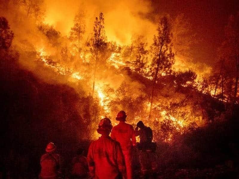 Preocupa que ante año caluroso en Veracruz aumenten incendios forestales