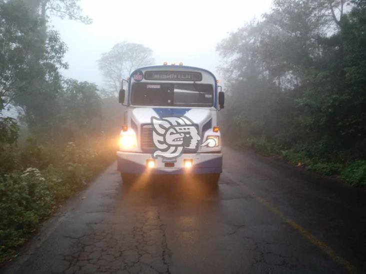 Autobús desbocado embiste a taxis en carretera hacia Acatlán