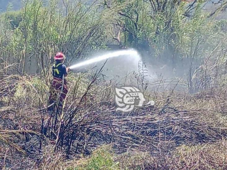 Incendio de pastizal en Rafael Delgado causa fuerte movilización