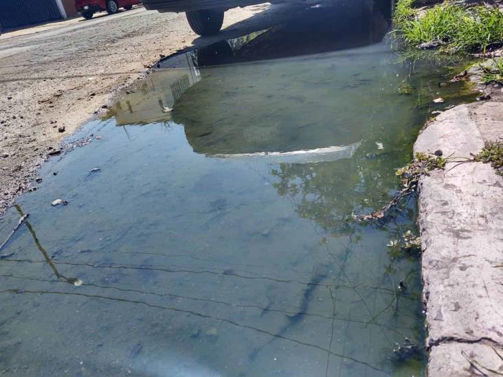 Crece fuga de aguas negras en calles de la Colonia Centro en Veracruz