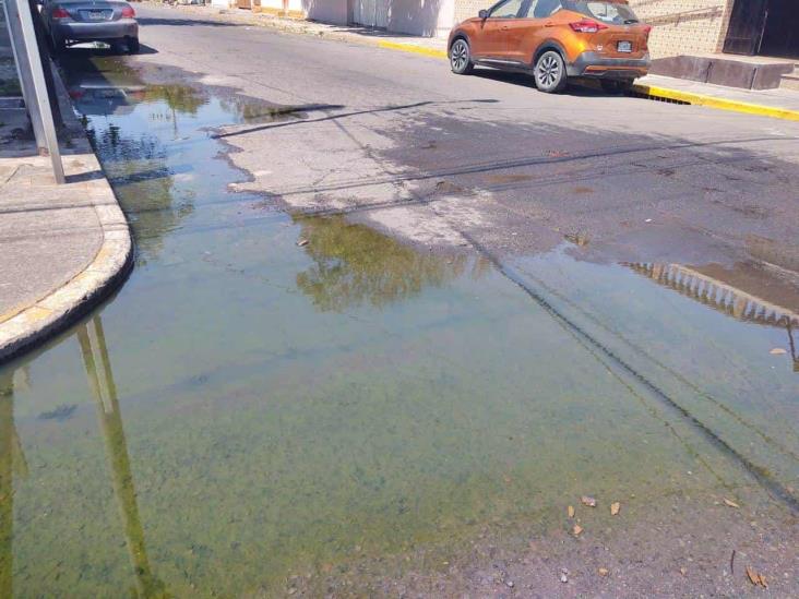 Crece fuga de aguas negras en calles de la Colonia Centro en Veracruz