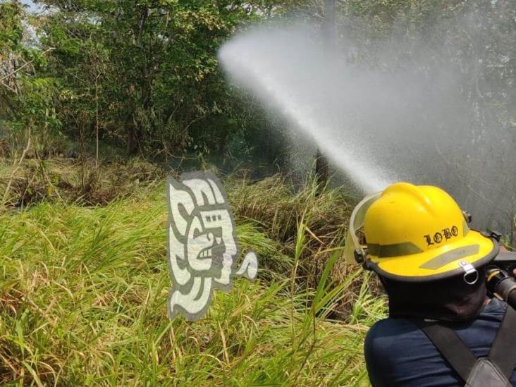 Combaten incendio de pastizales en la Cosoleacaque-Nuevo Teapa