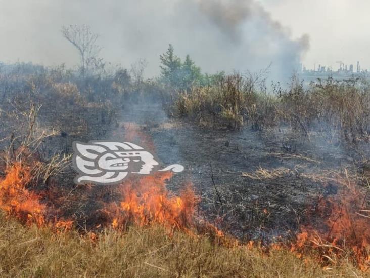 Combaten incendio de pastizales en la Cosoleacaque-Nuevo Teapa