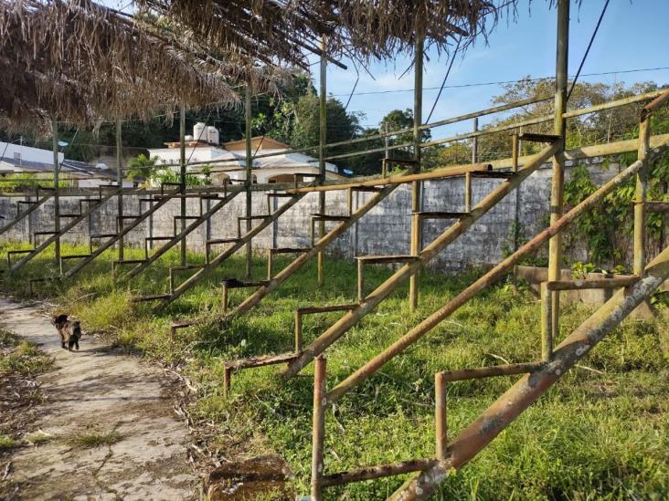 Arrasan con tubería de gradas en campo deportivo de Moloacán