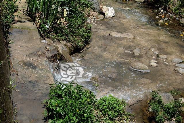 En Misantla, urgen desazolve del arroyo Pailte; emana olores fétidos