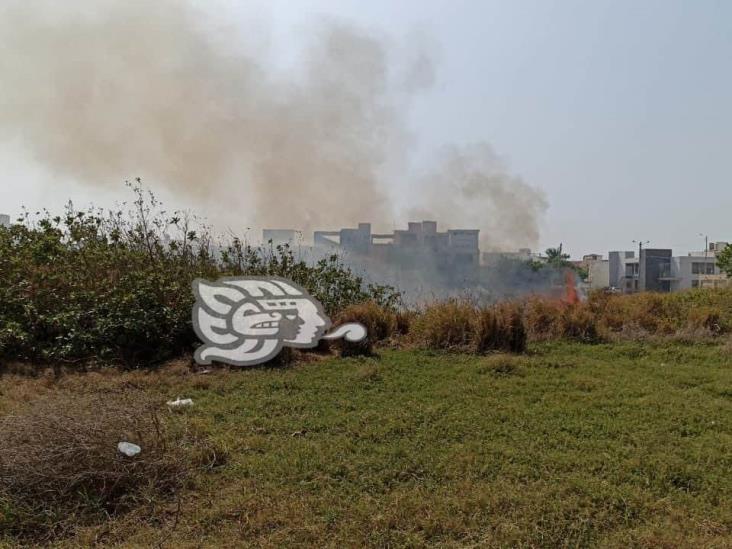 Incendio de pastizal se extendió en terreno baldío en Coatzacoalcos