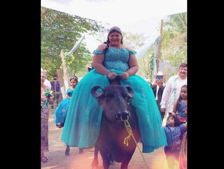 Orgullosa de sus raíces: quinceañera llega a su fiesta montada en un búfalo