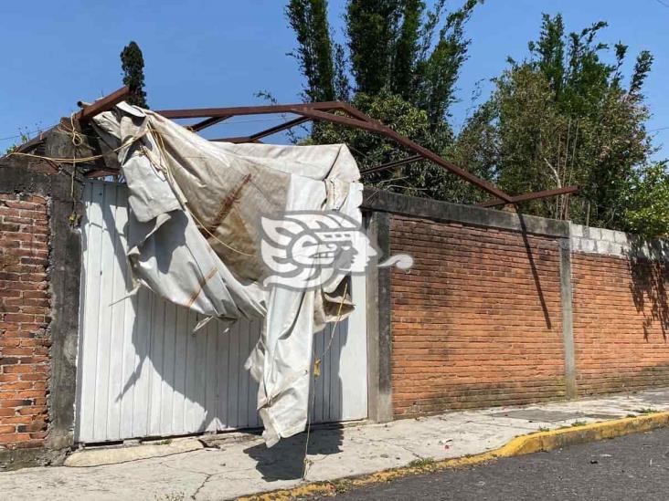 Surada deja techos desprendidos y árboles caídos en Orizaba