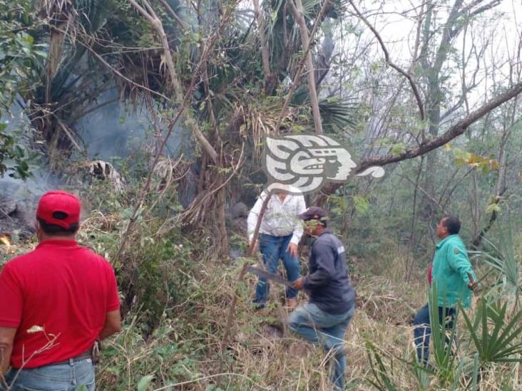 Sin apoyo de SPC- Veracruz, logran controlar incendio en Alto Lucero