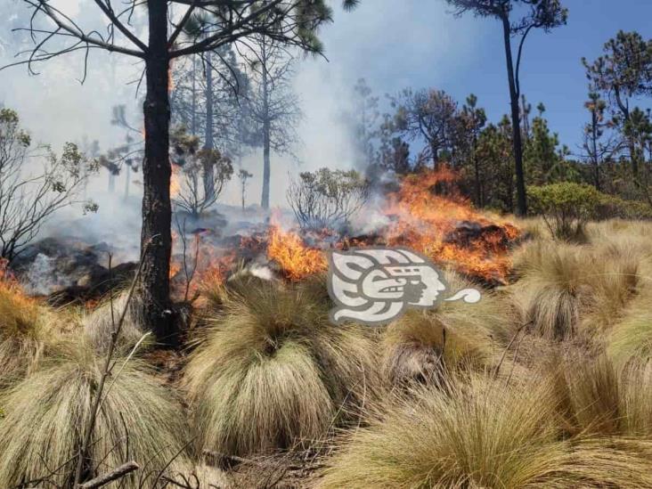 Controlado en 80%, incendio en faldas del Pico de Orizaba