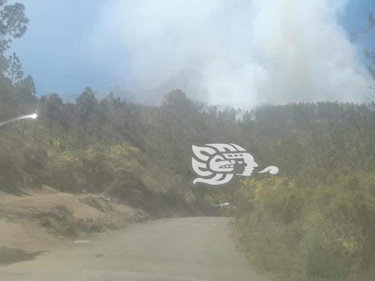 Controlado en 80%, incendio en faldas del Pico de Orizaba