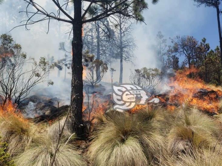 Quemaban pasto para sembrar papa y causaron incendio en faldas del Pico de Orizaba