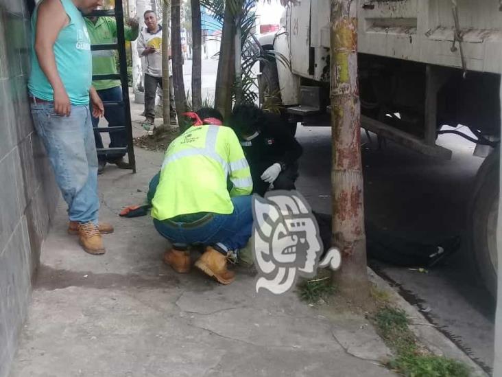 Cae trabajador de Limpia Pública de Xalapa de camión recolector de basura