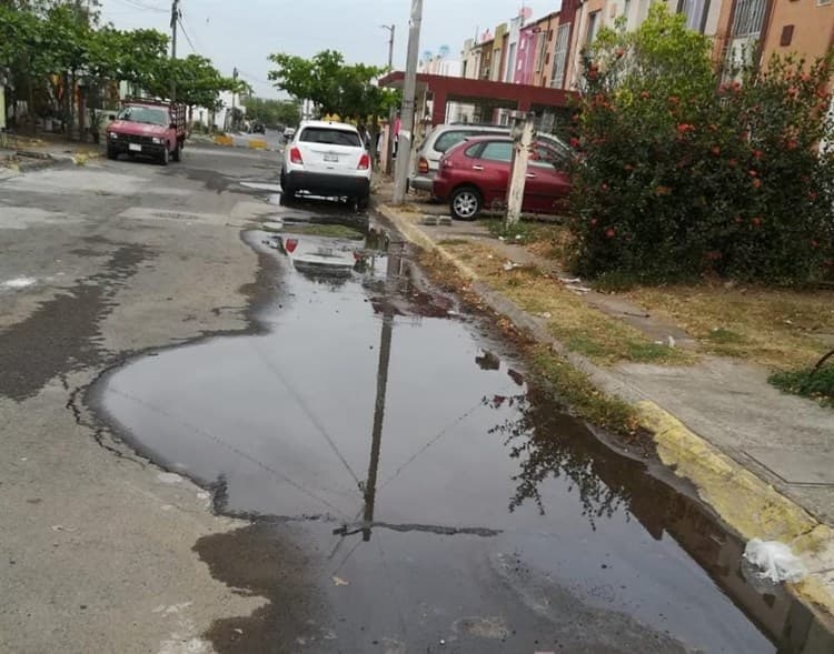 Reportan gran fuga de agua en Arboledas San Ramón
