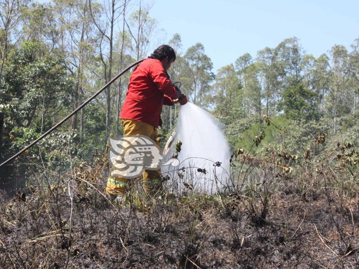 Llama PC de Agua Dulce a prevenir incendios de pastizales