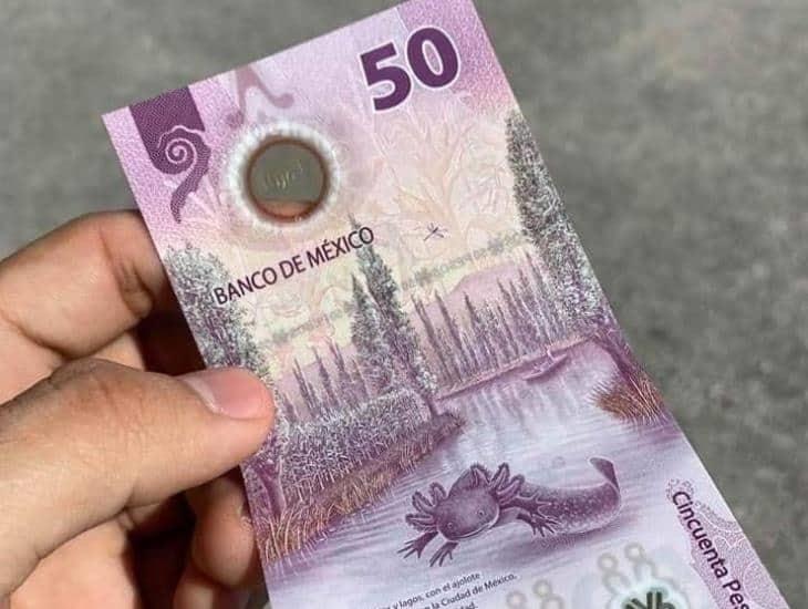 ¡ganó El Ajolote Billete Mexicano De 50 Pesos Es El Más Bonito Del Mundo 5491