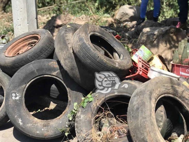 Colectan hasta 7 toneladas de basura en Xalapa durante jornadas de descacharrización