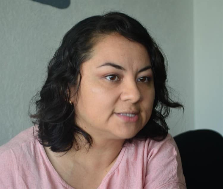 Centro de Veracruz, zona insegura para las mujeres: Colmena Verde