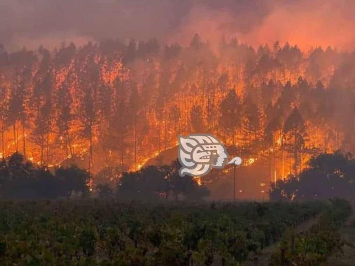 Incendio arrasa con varias hectáreas de bosque en Ayahualulco