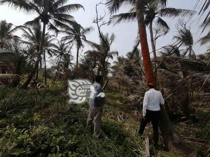 Habilitan accesos a playas de Colorado, Guillermo Prieto y Rincón Grande