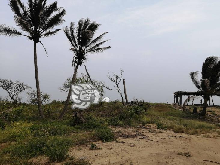 Habilitan accesos a playas de Colorado, Guillermo Prieto y Rincón Grande