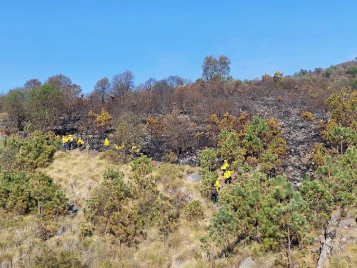 Avanza control de incendio en Cofre de Perote; liquidado en 50 por ciento