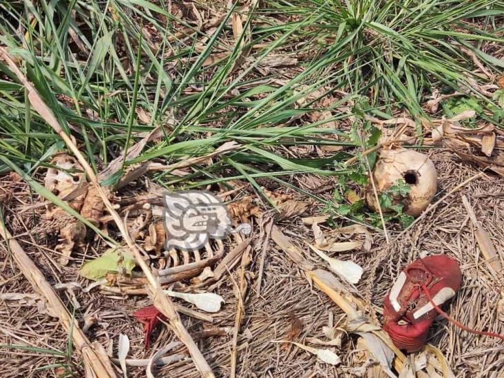 Encuentran restos óseos en rancho de Acayucan