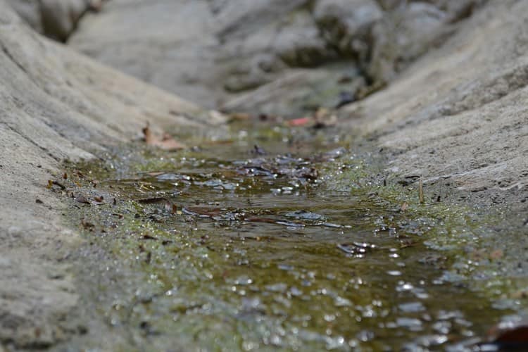 Se seca arroyo que dota de agua a municipios del Totonacapan