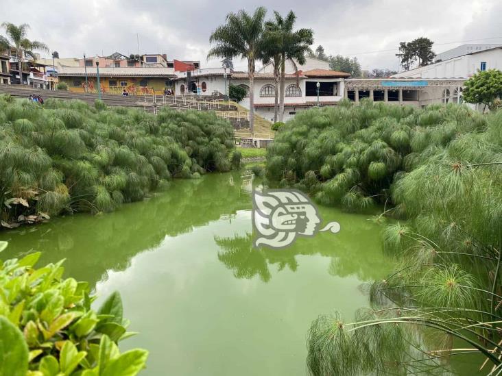 Contaminación envenena a Los Lagos de Xalapa; autoridades se olvidan de zona