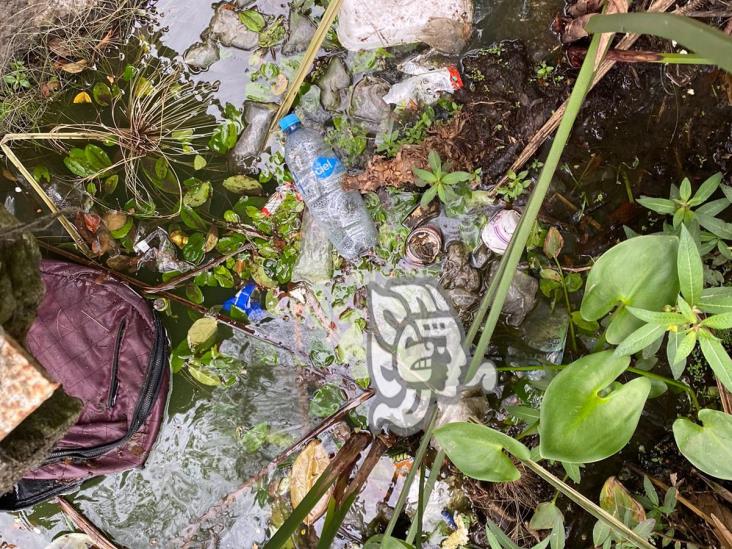 Contaminación envenena a Los Lagos de Xalapa; autoridades se olvidan de zona