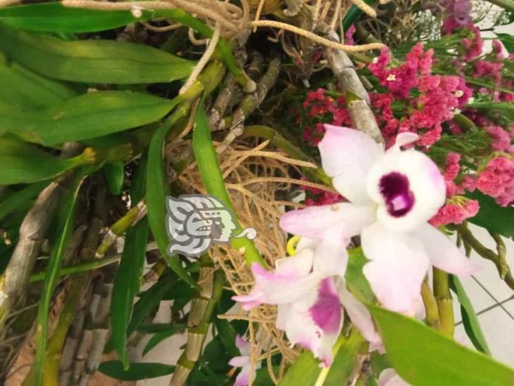 Reconocen colombianos belleza de orquídeas veracruzanas