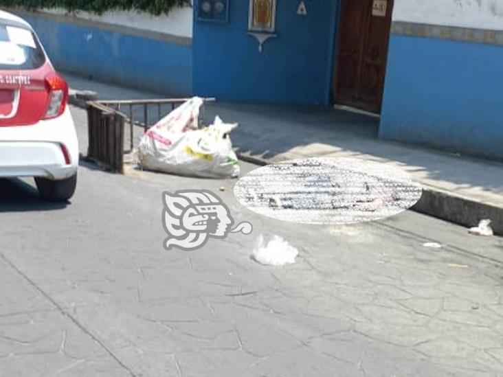 Pepenador es atropellado por autobús en calles de Coatepec