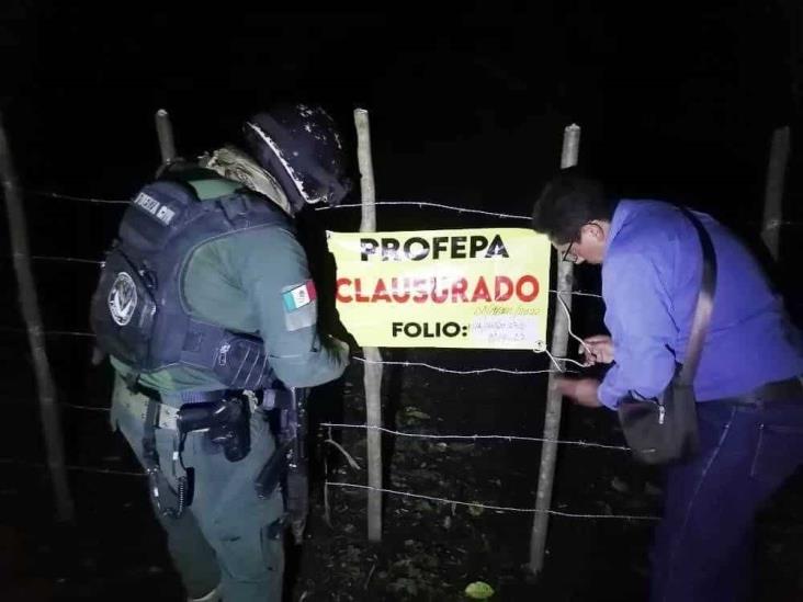 Clausuran tres predios en la Reserva de la Biosfera de los Tuxtlas