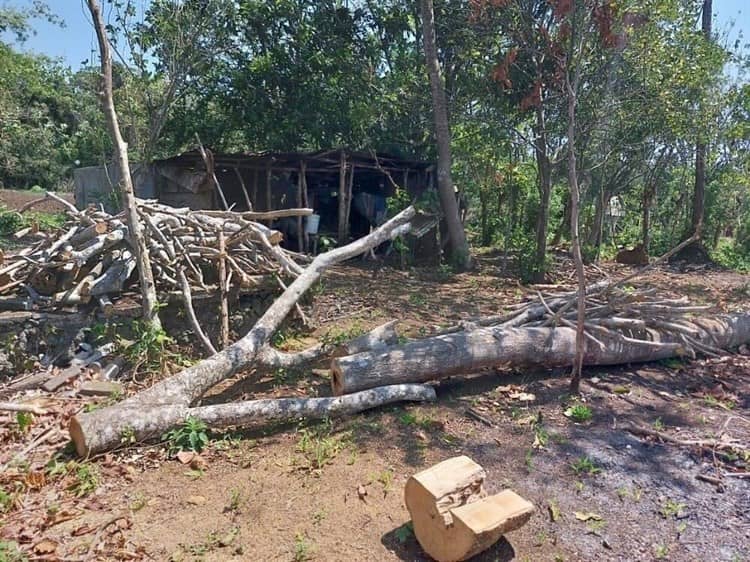 Clausuran tres predios en la Reserva de la Biosfera de los Tuxtlas