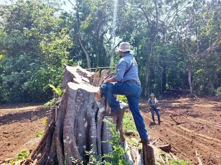 Clausuran tres predios en la Reserva de la Biosfera de los Tuxtlas