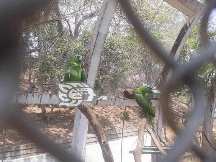 Dan reapertura al parque Bicentenario de villa Allende