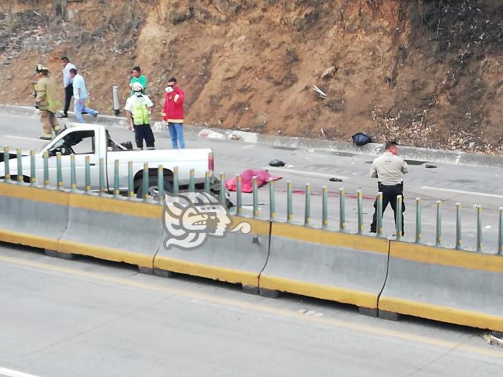 4 muertos y 4 heridos en accidente sobre la Veracruz- Córdoba