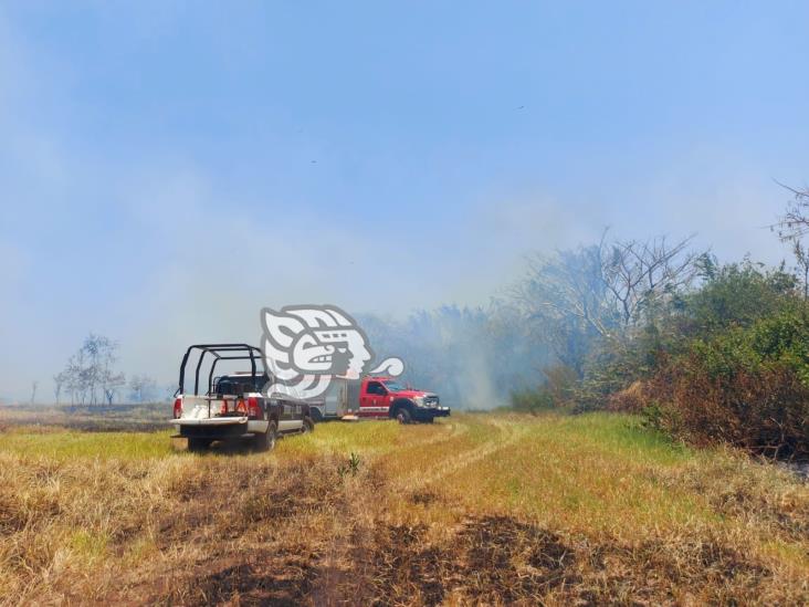 Incendio consume 5 hectáreas de vegetación y Palma de aceite