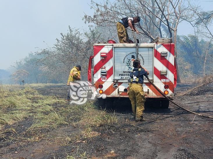 Incendio consume 5 hectáreas de vegetación y Palma de aceite