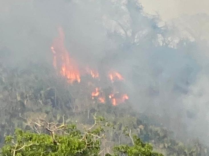 Incendio forestal en Puebla llegaría a huertos de Castillo de Teayo, en Veracruz