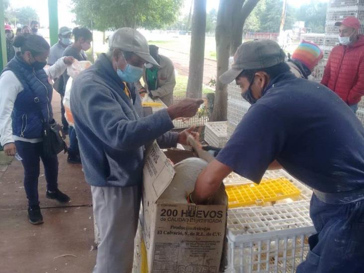 Falsos técnicos de Sedarpa estafan a productores avícolas de Veracruz