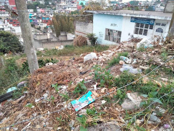 Convierten en basurero clandestino  zona baldía en Xalapa